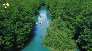 len-lich-trinh-du-lich-con-chim-dam-thi-nai-trong-ngay-gia-re-xaviahotelquynhon