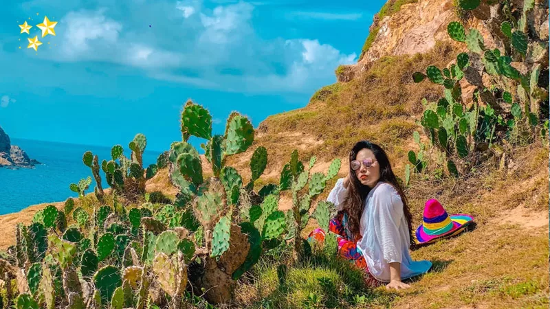 quy-nhon-phu-yen-co-gi-dep-tong-hop-nhung-dia-diem-du-lich-dep-xaviahotelquynhon